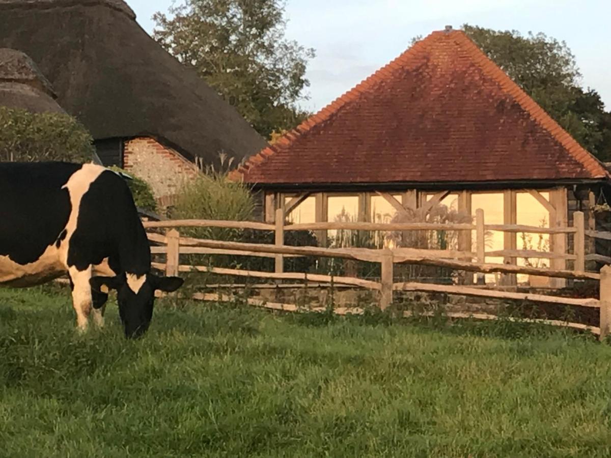 The Cow Hide Bed & Breakfast Arundel Dış mekan fotoğraf
