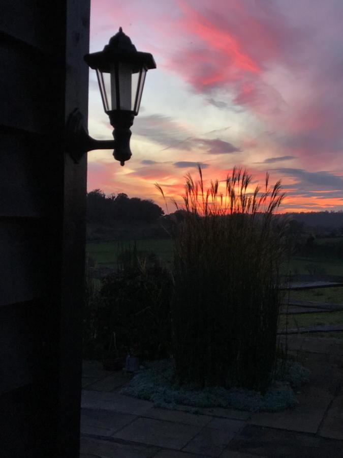 The Cow Hide Bed & Breakfast Arundel Dış mekan fotoğraf